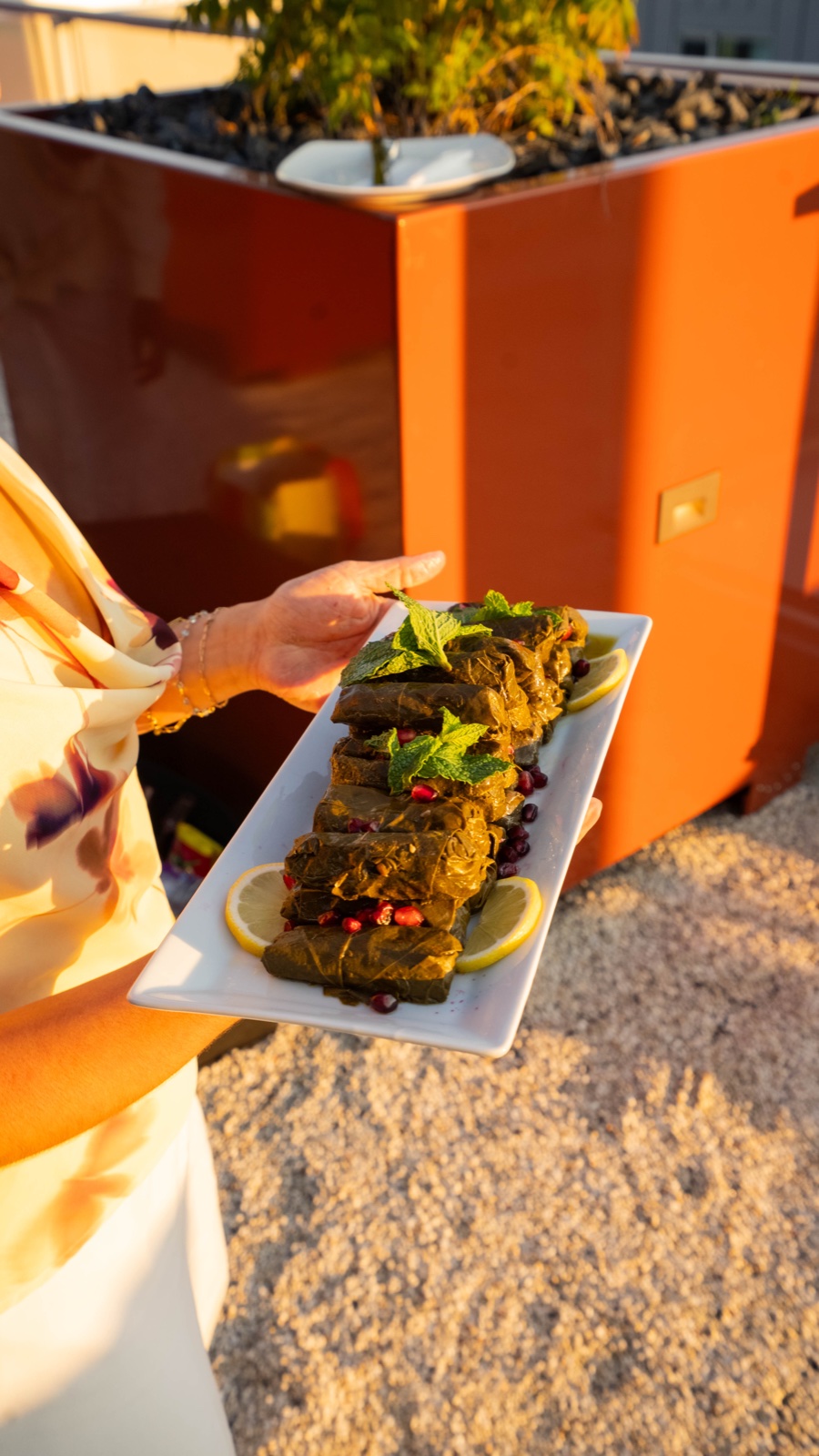 A platter of stuffed vine leaves with lemon and pomegranate, served at golden hour